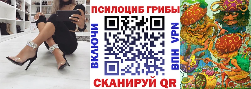 omg ссылки  Калининец  Псилоцибиновые грибы Cubensis 